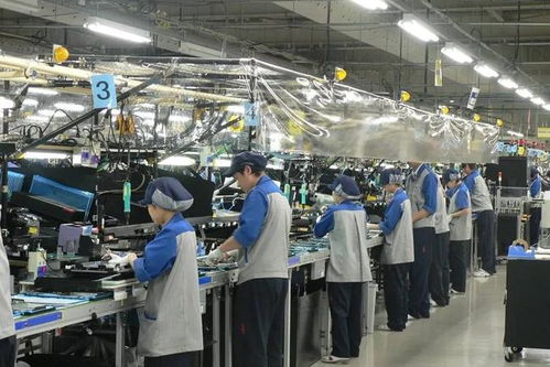 月薪過萬仍遇冷，兩大行業面臨“斷代”危機——90后大學生就業觀之變